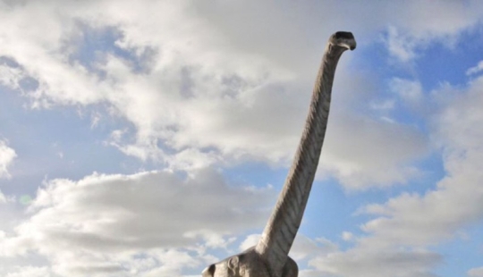 Paleontólogos han desenterrado un dinosaurio del tamaño de un Boeing 737 en la Patagonia