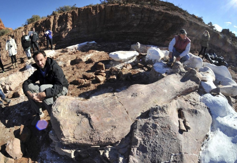 Paleontologists have unearthed a dinosaur the size of a Boeing 737 in Patagonia