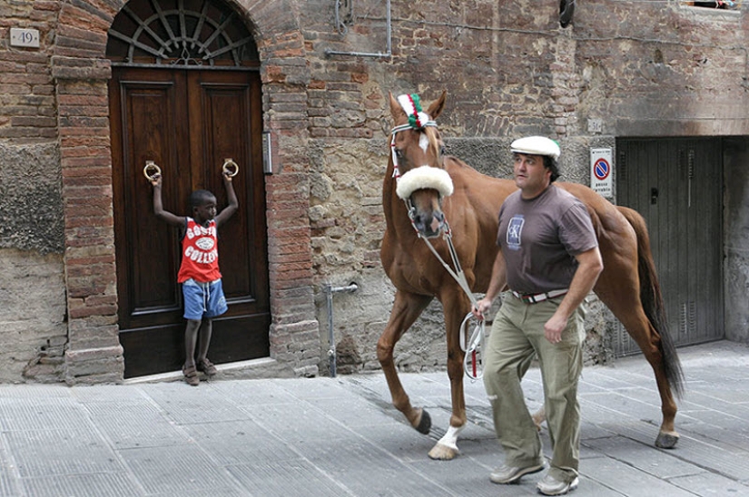 Palio in Siena: horse racing with centuries of tradition