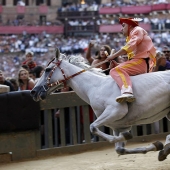 Palio in Siena: horse racing with centuries of tradition