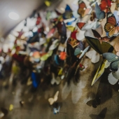 Paper grief: a girl carved more than 800 paper butterflies in memory of her late grandmother