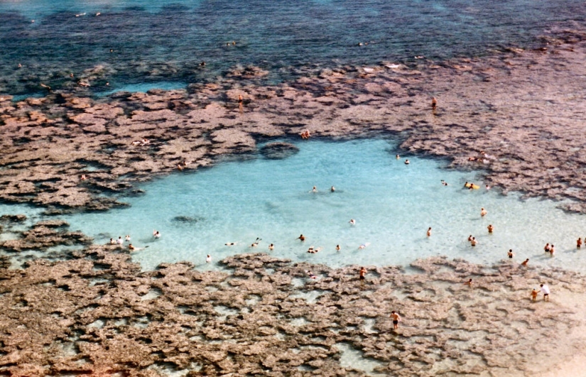 Paraíso terrenal-playa hawaiana dentro de un antiguo cráter