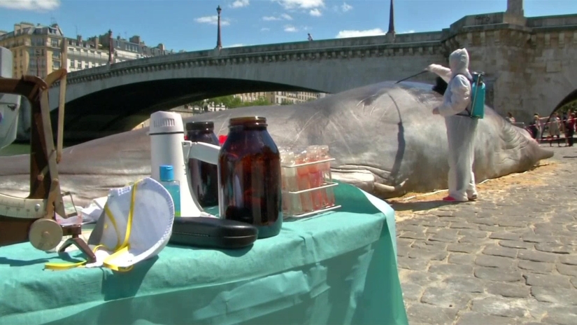 Paris residents found an "ejected whale" on the Seine embankment