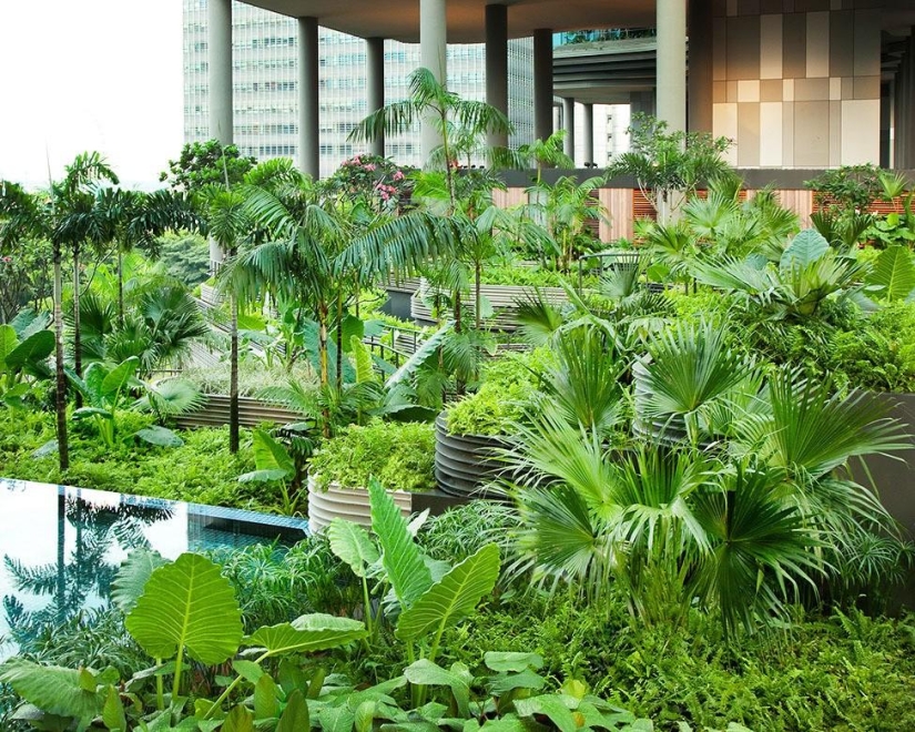 Parkroyal Garden Hotel en Singapur