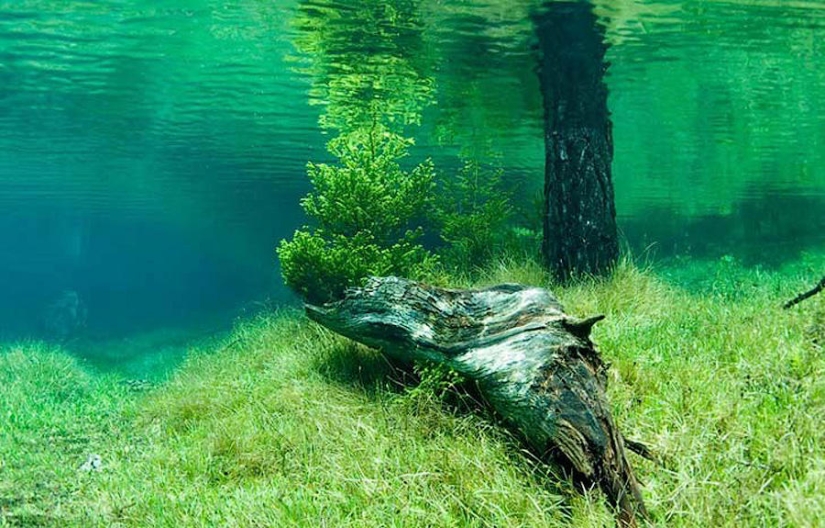 Parque fantasma del lago verde