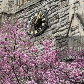 Paseando por Londres en primavera