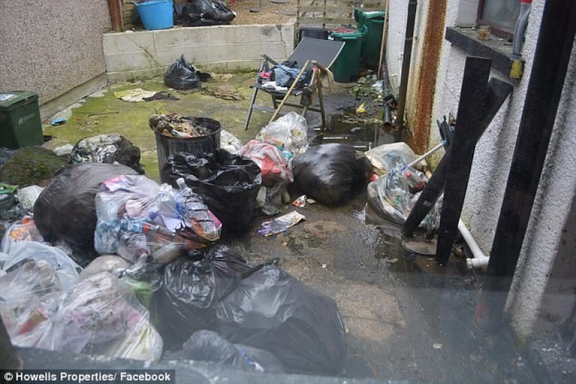 Peor que los cerdos: el propietario recibió 5 mil libras por limpiar después de que los inquilinos desordenados