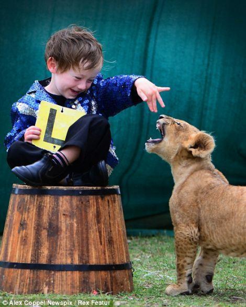 Pequeño artista de circo y su cachorro de león mascota Tsimbi