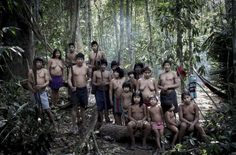 Perdidos en la selva: Cómo vive la gente de ava, la gente más reservada del planeta