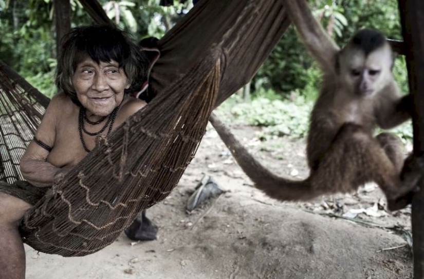 Perdidos en la selva: Cómo vive la gente de ava, la gente más reservada del planeta