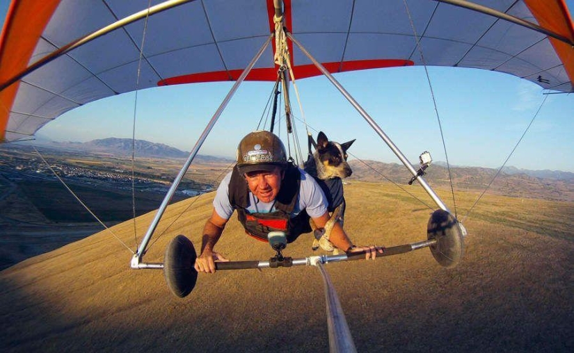 perro volador