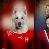 Perros vestidos con los uniformes de las selecciones nacionales del mundo.