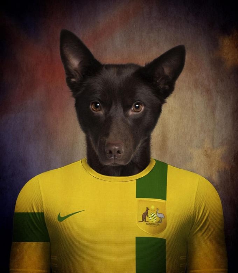 Perros vestidos con los uniformes de las selecciones nacionales del mundo.