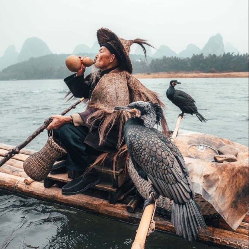 Pesca tradicional china con cormoranes