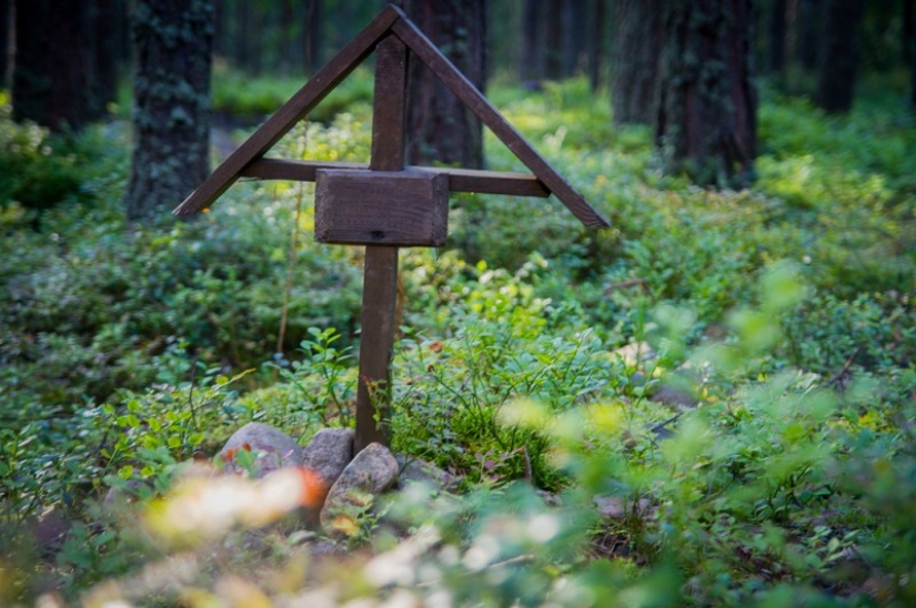 Pet cemeteries exist