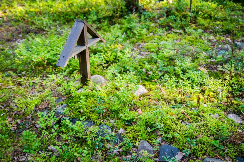 Pet cemeteries exist