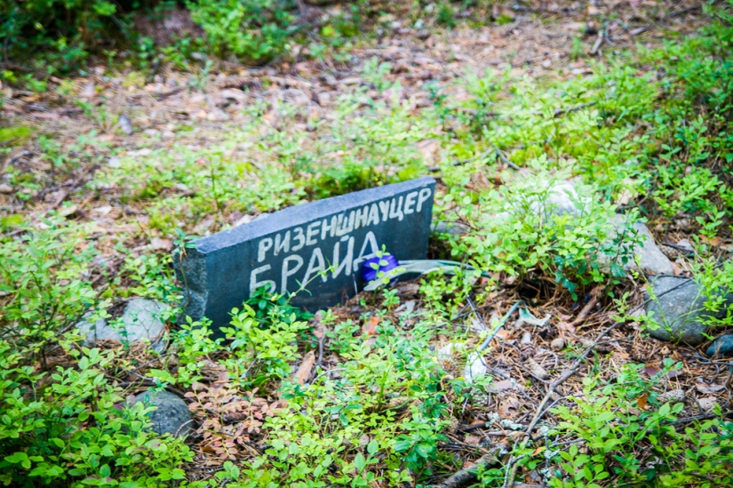 Pet cemeteries exist