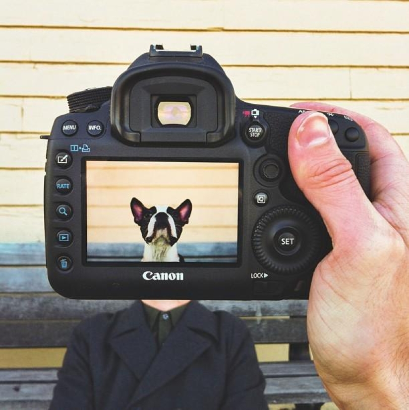 Pet owners and their pets in a quirky photo project #petheadz