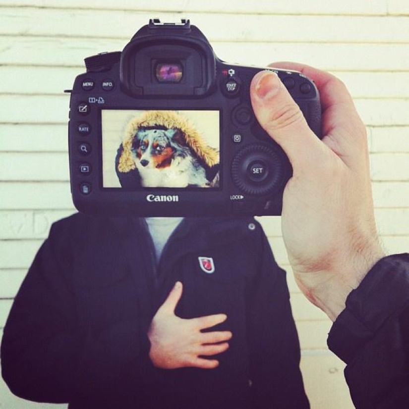 Pet owners and their pets in a quirky photo project #petheadz