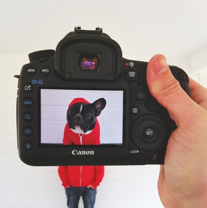 Pet owners and their pets in a quirky photo project #petheadz