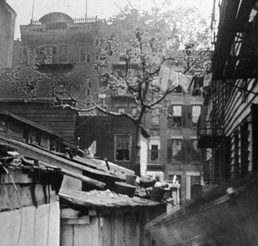 Páginas de la vida de los estadounidenses comunes y pobres en Nueva York del siglo XIX