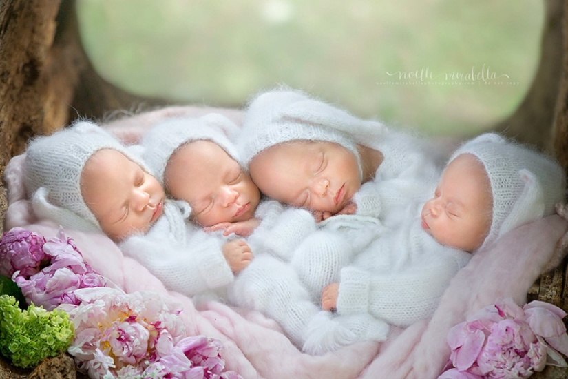 Photo shoot of very rare and absolutely identical quadruplets