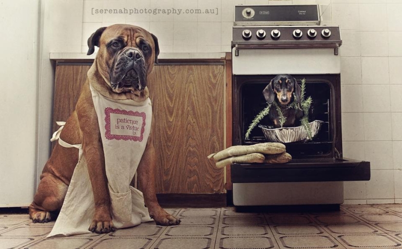 Photographer Serena Hodson and her four-legged friends