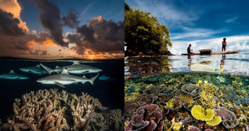 Photographs by David Dubile: the world on the surface and under water