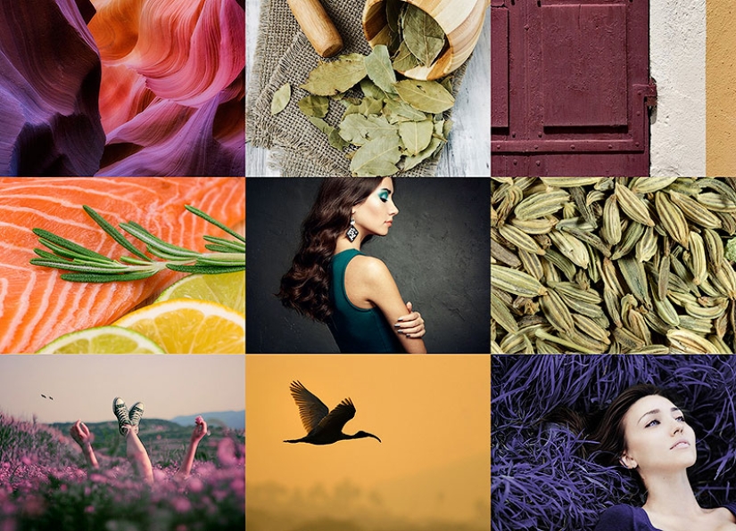 Photos in trendy colors for the fall 2015 season according to a report by the Pantone Institute