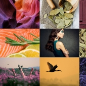 Photos in trendy colors for the fall 2015 season according to a report by the Pantone Institute