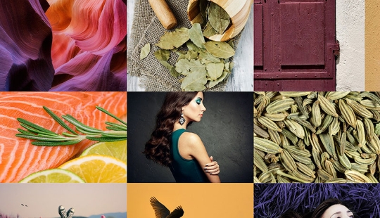 Photos in trendy colors for the fall 2015 season according to a report by the Pantone Institute