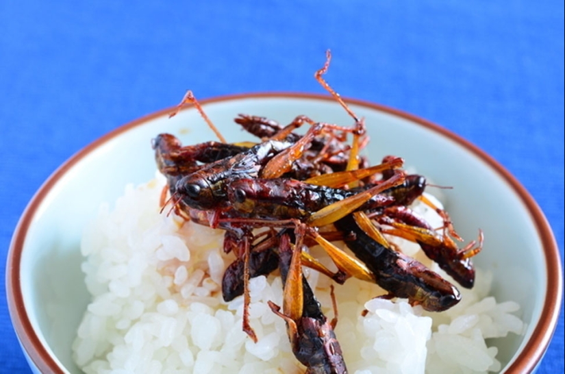 Platos japoneses que te harán perder el apetito