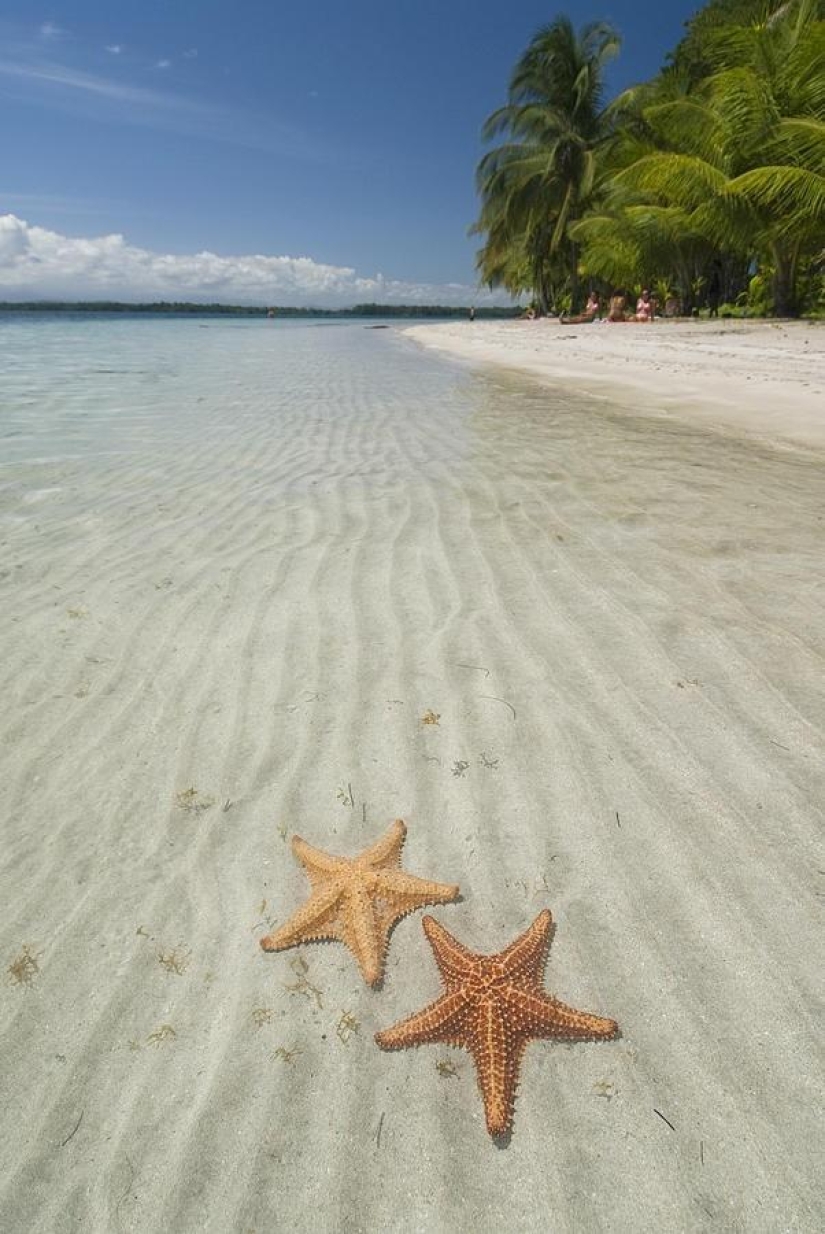 Playa Estrella de Mar - Boca del Drago