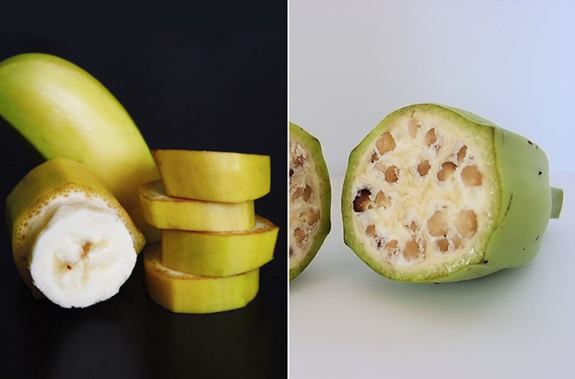 Plátanos con semillas, azul zanahorias bebé: se parecía a los primitivos antepasados de los modernos de frutas y verduras
