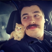 Policía de Carolina del Sur rescata a un gatito y lo acepta como socio