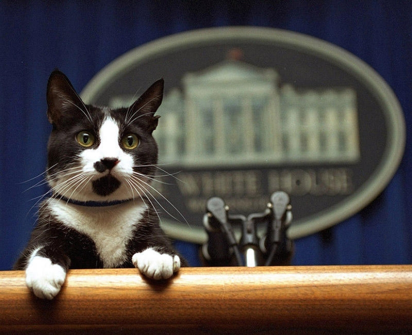 Políticos famosos y sus mascotas de cuatro patas