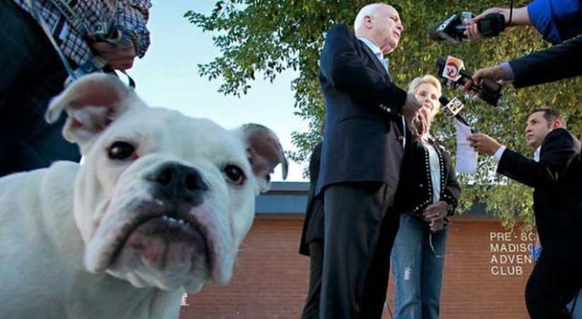 Políticos famosos y sus mascotas de cuatro patas