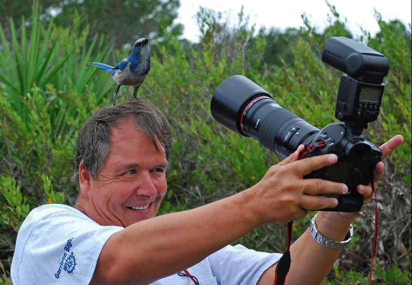 Por qué el fotógrafo de vida silvestre es el mejor trabajo del mundo
