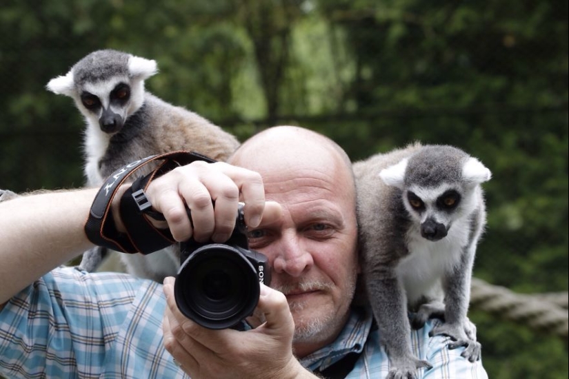 Por qué el fotógrafo de vida silvestre es el mejor trabajo del mundo