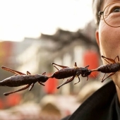 ¿Por qué los chinos comen insectos y alimentos "extraños" que asustan a las personas civilizadas?