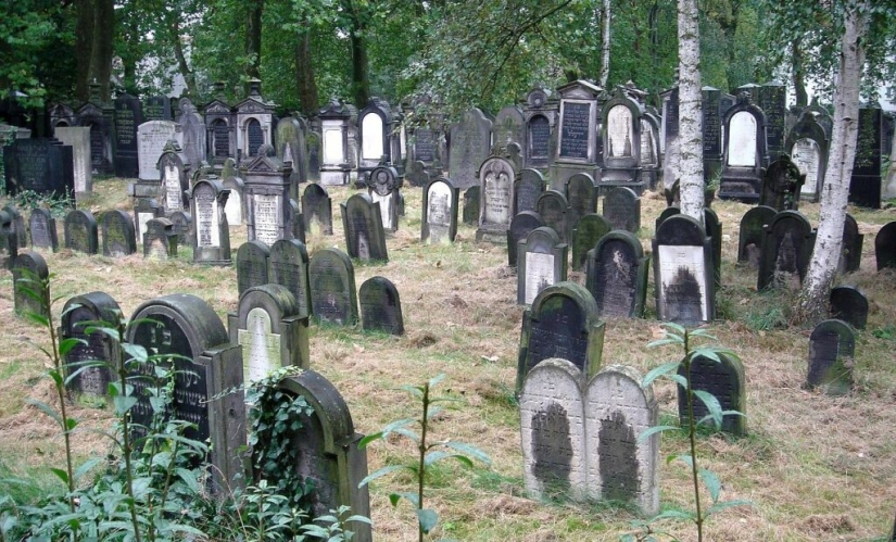 ¿Por qué los judíos traen piedras al cementerio, no flores?