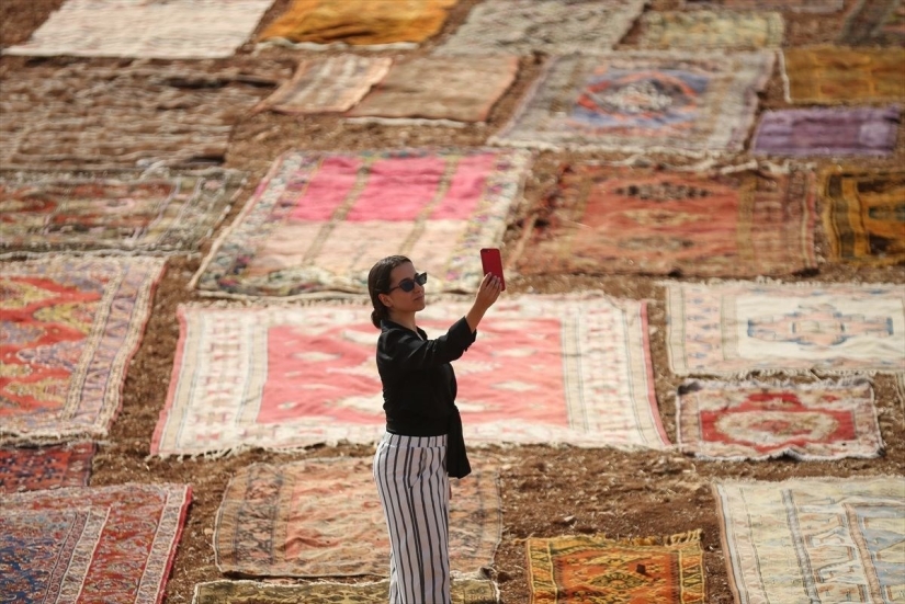 ¿Por qué los turcos colocan miles de alfombras en los campos?