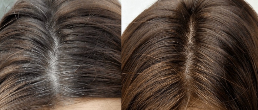 ¿Por qué regar tu cabello con corteza de roble? Un remedio natural que las mujeres llevan utilizando desde la antigüedad