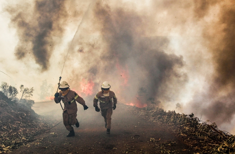 Portugal is suffering from the largest fire in the last 50 years