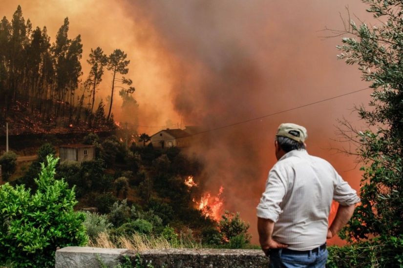 Portugal is suffering from the largest fire in the last 50 years