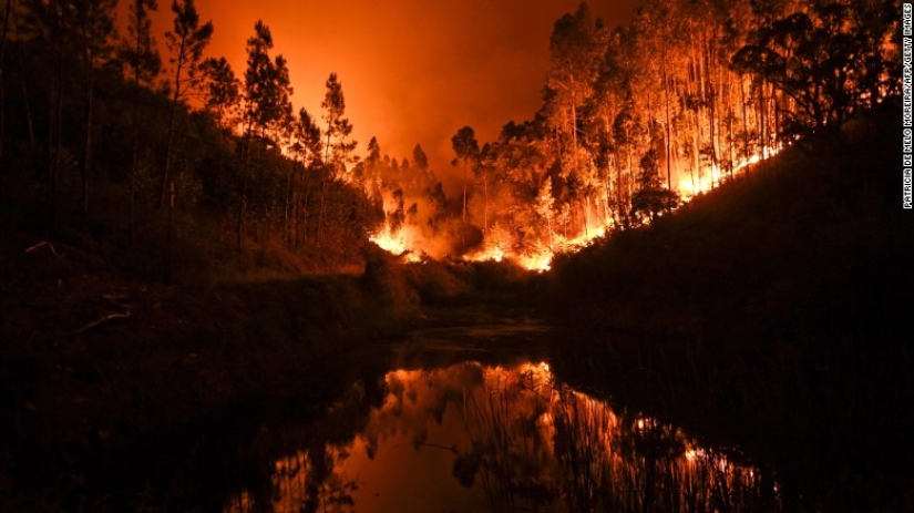 Portugal is suffering from the largest fire in the last 50 years