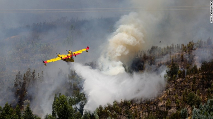 Portugal sufre el mayor incendio de los últimos 50 años