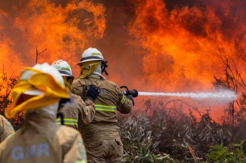 Portugal sufre el mayor incendio de los últimos 50 años