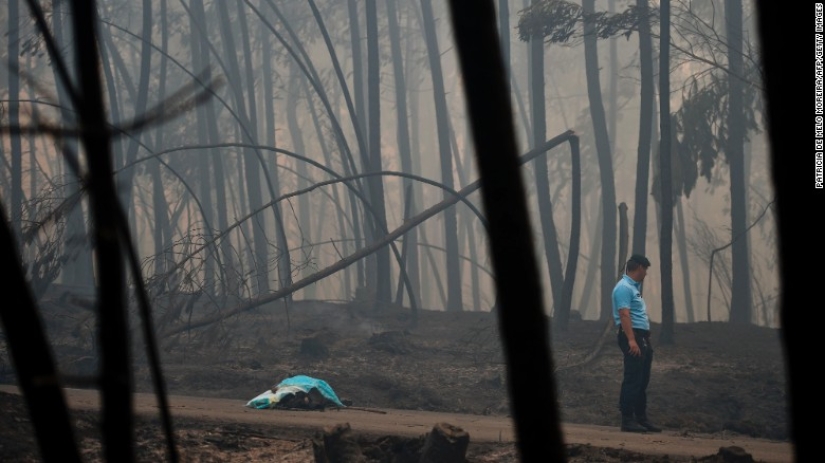Portugal sufre el mayor incendio de los últimos 50 años