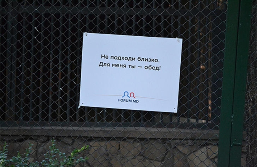 Positive from the zoo